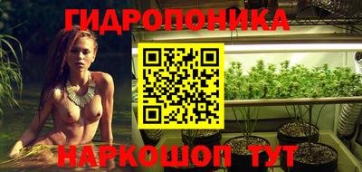 эйфоретик Коммунар