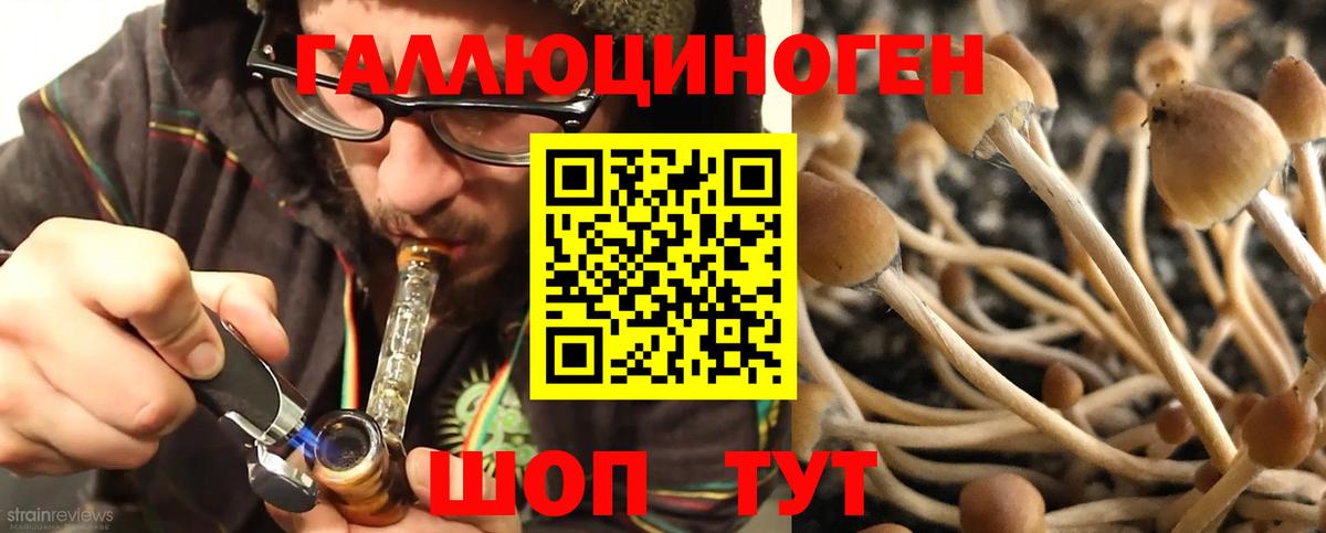 Псилоцибиновые грибы ЛСД  купить наркотики сайты  Кириши  Вход с VPN  Галлюциногенные грибы мицелий 