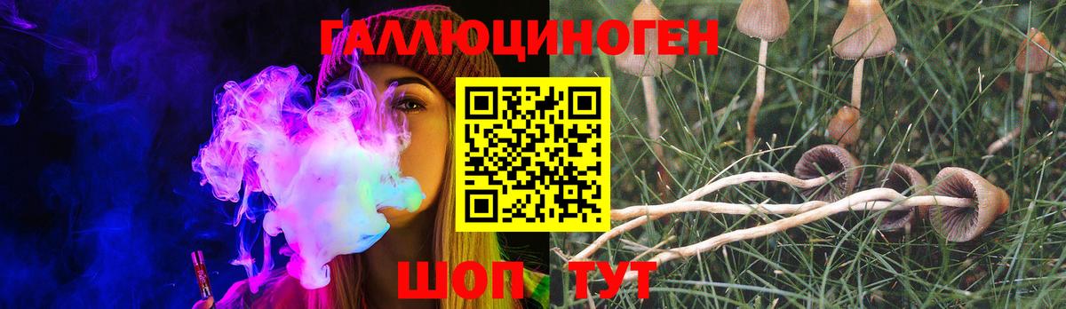 Псилоцибиновые грибы MAGIC MUSHROOMS Кириши